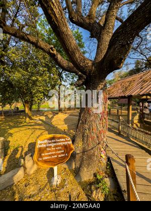 Der Tötungsbaum, gewidmet denen, die während des Konflikts der Roten Khmer in Choueng Ek, Phnom Pehn, Kambodscha getötet wurden. Stockfoto