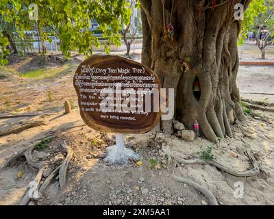 Der Zauberbaum, der den Toten während des Konflikts der Roten Khmer in Choueng Ek, Phnom Pehn, Kambodscha gewidmet ist. Stockfoto