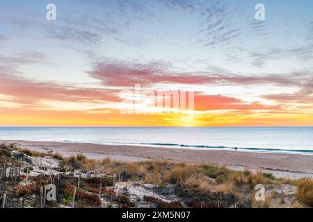 Silhouette eines Surfers mit Surfbrett am Strand bei Sonnenuntergang, South Australia Stockfoto