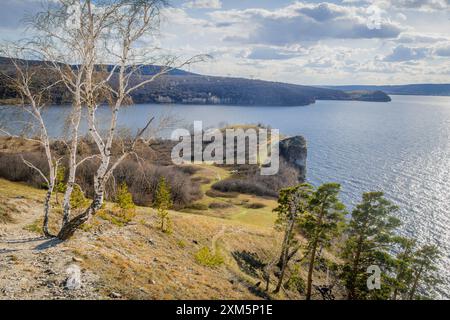 Die russische Birke auf der Klippe des Zhiguli-Gebirges, am Ufer des Wolga-Flusses, in der russischen Oblast Samara. Stockfoto