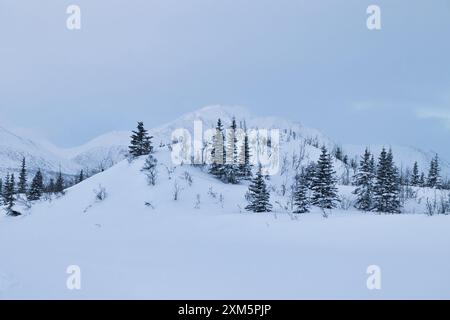 Bäume auf verschneiten Hügeln mit Bergen in der Ferne an einem kalten Wintertag in der Nähe der Castner Cave in Alaska. Stockfoto