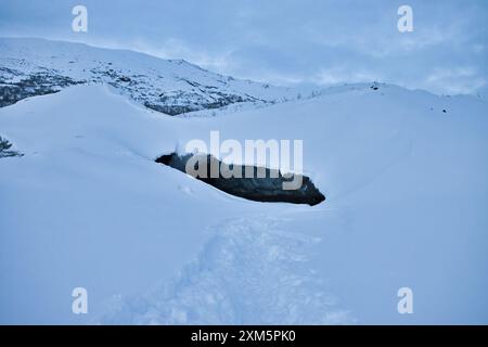 Schnee rund um die Castner Cave eröffnet an einem kalten Wintertag in Alaska. Stockfoto