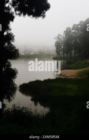 Nebel und Nebel bedeckten dunkle Kiefernwälder und Seen an der Mirik Hill Station in der Monsunsaison, himalaya-Ausläufer in West-bengalen in indien Stockfoto