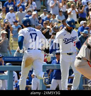 Los Angeles, Usa. Juli 2024. Los Angeles Dodgers DH Shohei Ohtani (17) feiert mit Teoscar Hernandez, nachdem er am Donnerstag, den 25. Juli 2024, im achten Inning gegen die San Francisco Giants im Dodger Stadium in Los Angeles einen Solo-Heimlauf absolviert hat. Foto: Jim Ruymen/UPI Credit: UPI/Alamy Live News Stockfoto