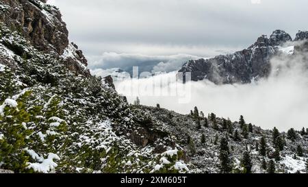 Der Zauber des Juni in den Dolomiten: Unberührte, schneebedeckte Gipfel, versteckt unter einem Baumwipfel aus weißen Wolken Stockfoto