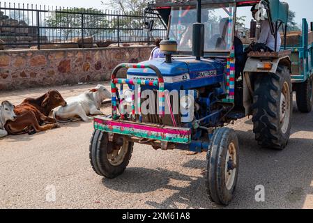 Rajasthan, Indien 14. Februar 2024. Farmtrac-Traktor und Kühe ruhen auf der Straße Stockfoto