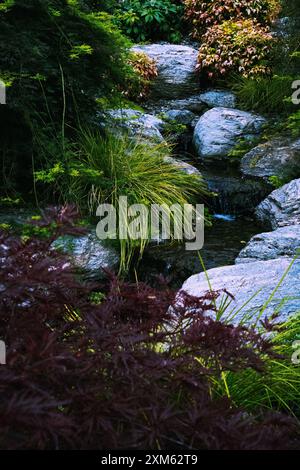 Ruhiger Garden Stream Stockfoto