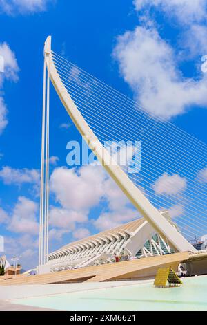 Valencia, Spanien - 12. Juli 2024: Weiße, einpylonhaltige Seilbrücke in der Stadt der Künste und Wissenschaften Stockfoto