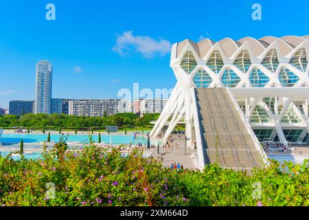 Valencia, Spanien - 12. Juli 2024: Panoramablick auf die Stadt der Künste und Wissenschaften mit moderner Architektur und lebendiger Umgebung. Stockfoto