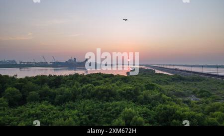 (240726) -- SERANG, 26. Juli 2024 (Xinhua) -- ein Luftdrohnenfoto vom 16. Juli 2024 zeigt einen Blick auf Mangrovenwälder im Küstengebiet nahe dem Projekt „Java 7“ in Serang, Provinz Banten, Indonesien. Die großen Mangrovenflächen entlang der indonesischen Küste spielen eine wichtige Rolle bei der Reinigung des Meerwassers, der Verhinderung von Wind und Wellen, der Fixierung und Speicherung von Kohlenstoff und der Erhaltung der Artenvielfalt. Chinas CHN Energy und Indonesian National Electricity Company bauten gemeinsam das Projekt „Java 7“ im westlichen Teil der Insel Java. Das CHN Energy Java Power Plant spielte eine führende Rolle im Designbereich Stockfoto