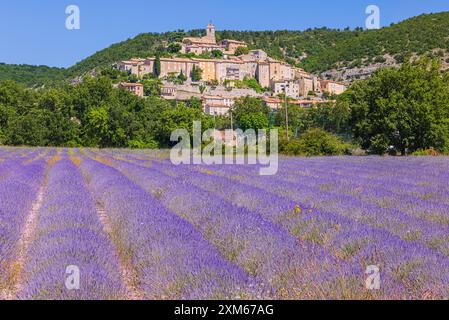 Ende Juni blüht der Lavendel und die Landschaft wird blau-violett in Banon, einem mittelalterlichen Dorf umgeben von den Überresten des Defensivs Stockfoto