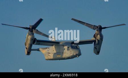 Ein United States Marine Corps MV-22 Osprey von VMM-268 Red Dragons. Stockfoto