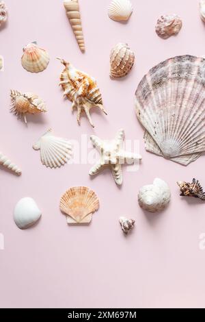 Muscheln und Seesterne auf hellrosa Hintergrund. Meereslebekonzept Stockfoto