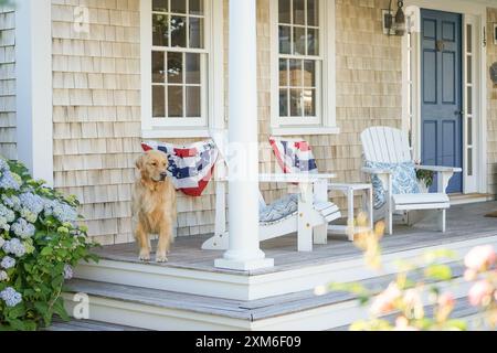 Golden Retriever steht auf der im Sommer dekorierten Veranda Stockfoto