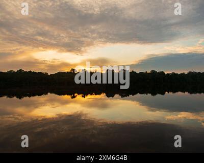 Fantastischer grüner Amazonas-Dschungel über der Jaguar Lagune (Onza Lagune).während der Sonnenuntergangszeit Amazonien. Brasilien. Südamerika Stockfoto