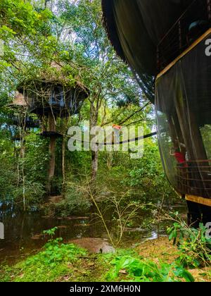 Glamouröse Unterkunft im Regenwald des Amazonas. Holzhaus, Amazonas-Regenwald, Amazonien, Pacaya Samiria National Reserve, Peru, Südamerika. Stockfoto