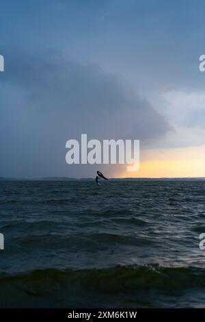 Wingfoil-Reiter, der im See reitet. Stockfoto