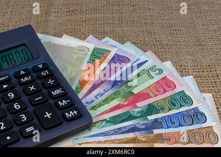 Pakistanische Banknoten mit Taschenrechner. Finanzplanungskonzept. Stockfoto