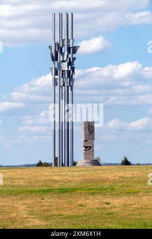 Gedenkstätte für Polnisch-litauische Truppen gewinnen den Deutschen Ritterorden Stockfoto