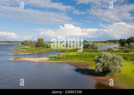 Blick auf die Elbe, das Biosphärenreservat Elbe, Niedersachsen, Deutschland Stockfoto