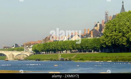 Blick auf Gien und die Loire Stockfoto