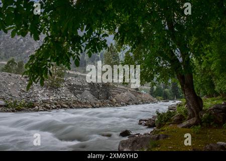 Gagangir, Indien. Juli 2024. Ein Blick auf den Fluss, der an einem heißen und feuchten Tag in Gagangir durch den Wald fließt, etwa 90 km von Srinagar entfernt. Seit 1981 hat die Sommerhauptstadt Srinagar in dieser Sommersaison die dritthöchste Tagestemperatur aller Zeiten erlebt. Das anhaltende trockene Wetter hat in den letzten Wochen zu einem starken Anstieg der Tagestemperatur in Kaschmir geführt. Quelle: SOPA Images Limited/Alamy Live News Stockfoto