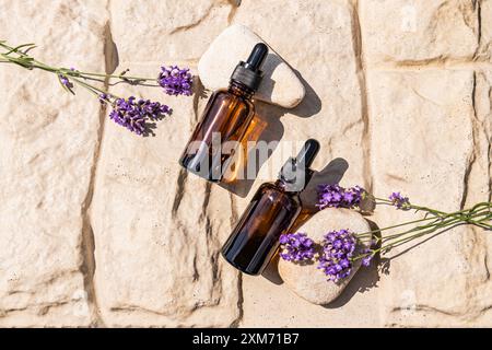 Zwei Kosmetikflaschen aus dunklem Glas mit natürlichem Lavendelöl, Körperhautseren auf Steinhintergrund mit frischen Lavendelblüten. Draufsicht. Stockfoto