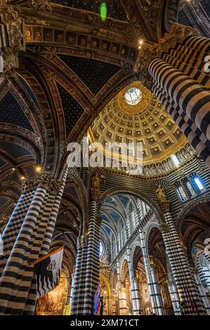 Kathedrale Santa Maria Assunta von innen, Siena, Toskana, Italien, Europa Stockfoto