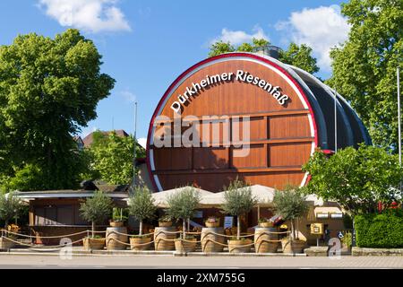 Das Dürkheimer Riesenfass in Bad Dürkheim, Rheinland-Pfalz Stockfoto