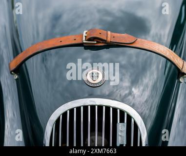 Jaguar XK 120 Roadster in British Racing Green und braunen Ledersitzen, Armaturenbrett. Stockfoto