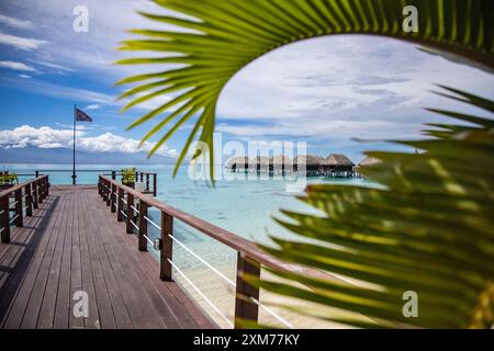 Die Bungalows am Pier und über dem Wasser des Sofitel Ia ora Beach Resort bieten einen Blick durch Palmenfronten, Moorea, Windward Islands, Französisch-Polynesien und Südpazifik Stockfoto