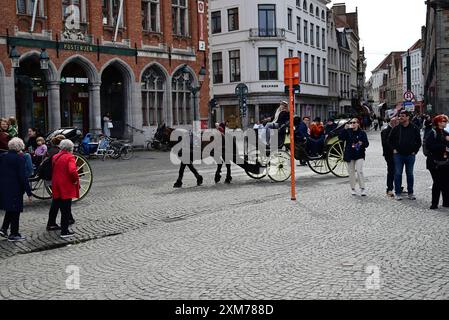 Pferdekutschen sind bei Touristen beliebt und sind ein vertrauter Anblick auf den Straßen von Brügge, Belgien. Stockfoto