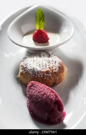 Gedämpfte Teigtaschen mit Himbeersorbet und Vanillesauce Stockfoto