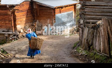 Artvin, Türkei - 30. Juli 2018: Frau aus der Schwarzmeerregion Karadeniz in ihrer traditionellen Kleidung im Dorf Maden im Schwarzmeergebiet Karadeniz Stockfoto