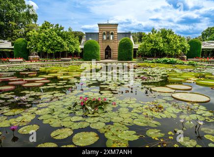 Seerosenteich Wilhelma Zoologischer-Botanischer Garten, Wilhelma, Stuttgart, Baden-Württemberg, Deutschland, Europa Stockfoto