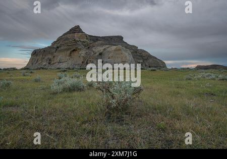 Sagebrush und Castle Butte im Abendlicht im Big Muddy Valley, Saskatchewan, Kanada Stockfoto