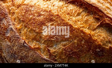 Frisch gebackenes, knuspriges Sauerteigbrot-Brot aus nächster Nähe mit goldbrauner Kruste Stockfoto