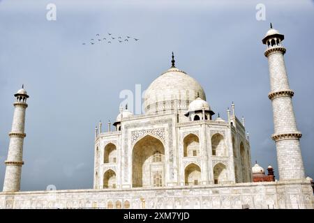 10-08-2023, Agra, Uttar pradesh, Indien Taj Mahal, eines der sieben Wunder, bewölkter Hintergrund, fliegende Vögel Stockfoto