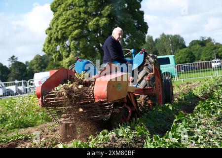 Kelso, Großbritannien. Juli 2024. Die Border Union Show ist der Höhepunkt der Veranstaltung und des landwirtschaftlichen Kalenders für die schottischen Grenzen und Northumberland. Die Annual Show findet am letzten Freitag und Samstag im Juli am Rande der hübschen Kopfsteinpflasterstadt Kelso statt. Die Show ist eine traditionelle Bauernschau mit über 500 offenen Wettbewerben für Pferde, Viehzucht und Industriekunst. Mit rund 200 Verkaufsständen finden Sie alles, was Sie sich vorstellen können, von Traktoren über landwirtschaftliche Verbrauchsmaterialien bis hin zu Kleidung und Lebensmittelgeschäften. (Quelle: Rob Gray/Alamy Live News Stockfoto