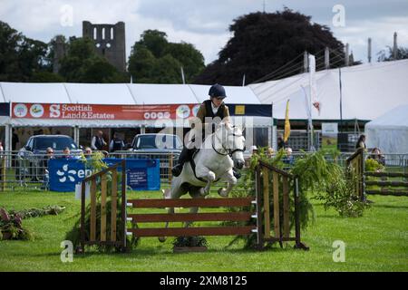 Kelso, Großbritannien. Juli 2024. Die Border Union Show ist der Höhepunkt der Veranstaltung und des landwirtschaftlichen Kalenders für die schottischen Grenzen und Northumberland. Die Annual Show findet am letzten Freitag und Samstag im Juli am Rande der hübschen Kopfsteinpflasterstadt Kelso statt. Die Show ist eine traditionelle Bauernschau mit über 500 offenen Wettbewerben für Pferde, Viehzucht und Industriekunst. Mit rund 200 Verkaufsständen finden Sie alles, was Sie sich vorstellen können, von Traktoren über landwirtschaftliche Verbrauchsmaterialien bis hin zu Kleidung und Lebensmittelgeschäften. (Quelle: Rob Gray/Alamy Live News Stockfoto