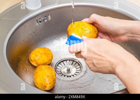 Die Hausfrau wäscht frische Kartoffeln in der Küchenspüle. Kartoffeln in der Küche waschen. Kartoffeln schälen. Stockfoto