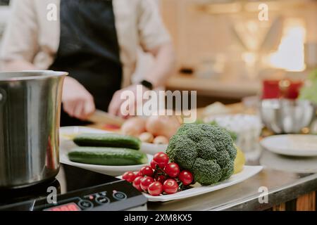 Mittlere Nahaufnahme einer weißen Keramikplatte voller frischer Tomaten und Brokkoli auf der Küchenzeile aus Stahl, kochen Sie Gemüse in verschwommenem Hintergrund schneiden Stockfoto