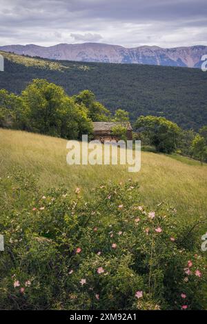 Wunderschöner Panoramablick auf die Cadi-Bergkette von La Cerdanya aus in Katalonien. Mit üppigem Grün, Wildblumen und einer rustikalen Hütte unter einem bewölkten Himmel Stockfoto