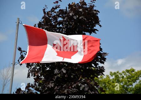 Die Nationalflagge Kanadas fliegt an einem schönen Sommertag mit blauem Himmel mit weißen Wolken und roten Ahornblättern an einem Fahnenmast hoch. Stockfoto