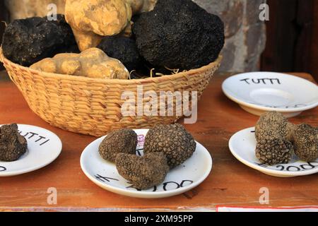 Diverse Trüffeln auf Anzeige in Umbrien, Italien. Stockfoto