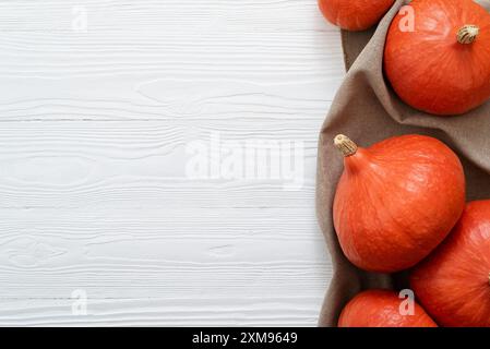 Top View of Hokkaido Pumpkins, auch bekannt als Red Kuri Squash oder Uchiki Kuri, angeordnet als Grenze auf einem weißen Hintergrund mit Copy Space Stockfoto