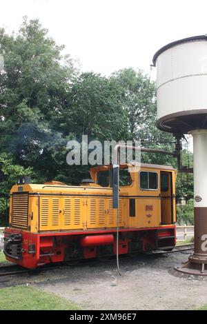 Diesellokomotive bei der Welshpool and Llanfair Railway, Wales, Großbritannien Stockfoto