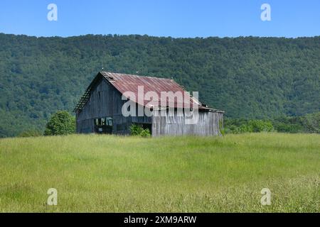 Rostiges, zerrissenes Blech auf einer verwitterten Holzscheune auf einem Hügel in den Appalachen. Grüne Wiese umgibt die Scheune. Stockfoto