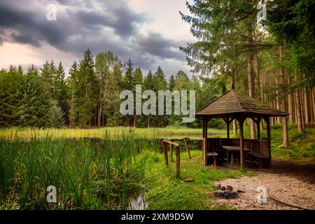 Eine Pavillon am Ufer eines ruhigen Waldsees an einem Sommerabend. Bäume spiegeln sich im Wasser. Stockfoto