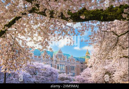 Die University of Washington (auch bekannt als Washington oder UDub) ist eine öffentliche Forschungsuniversität in Seattle, Washington, USA. Stockfoto